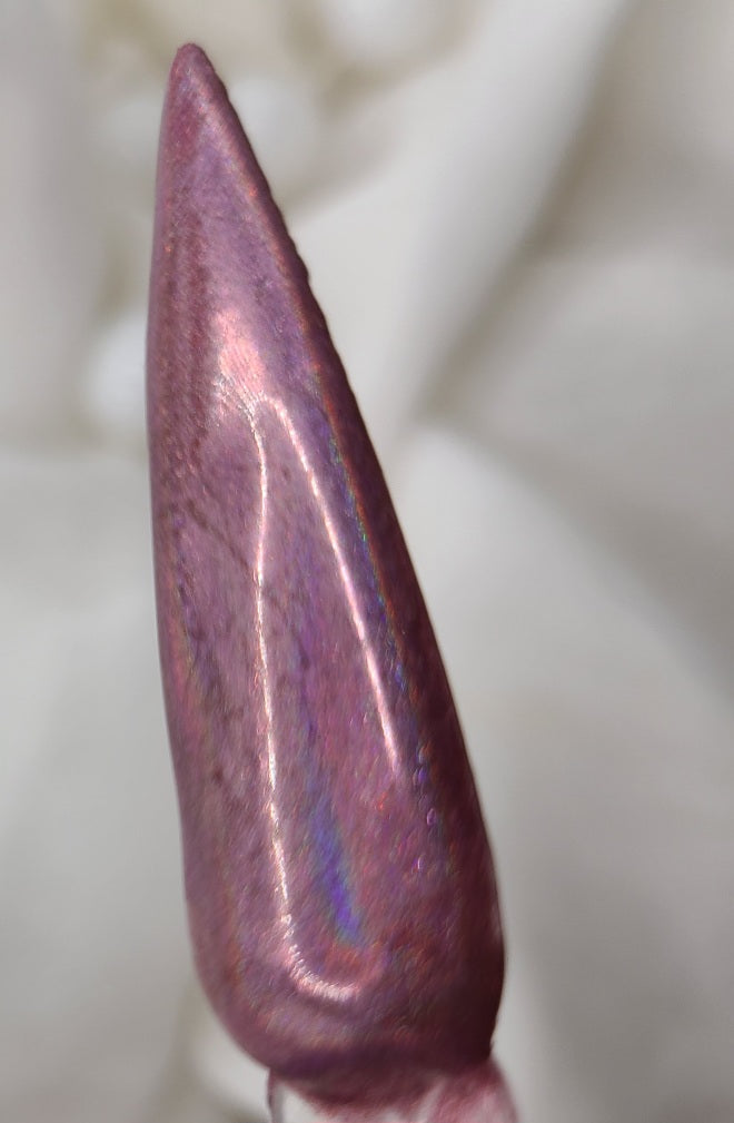 Holo Spring Collection