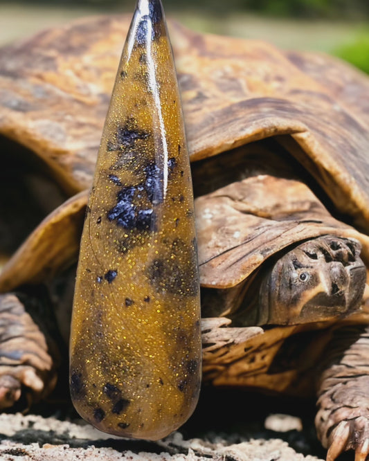 Tortoise Trot