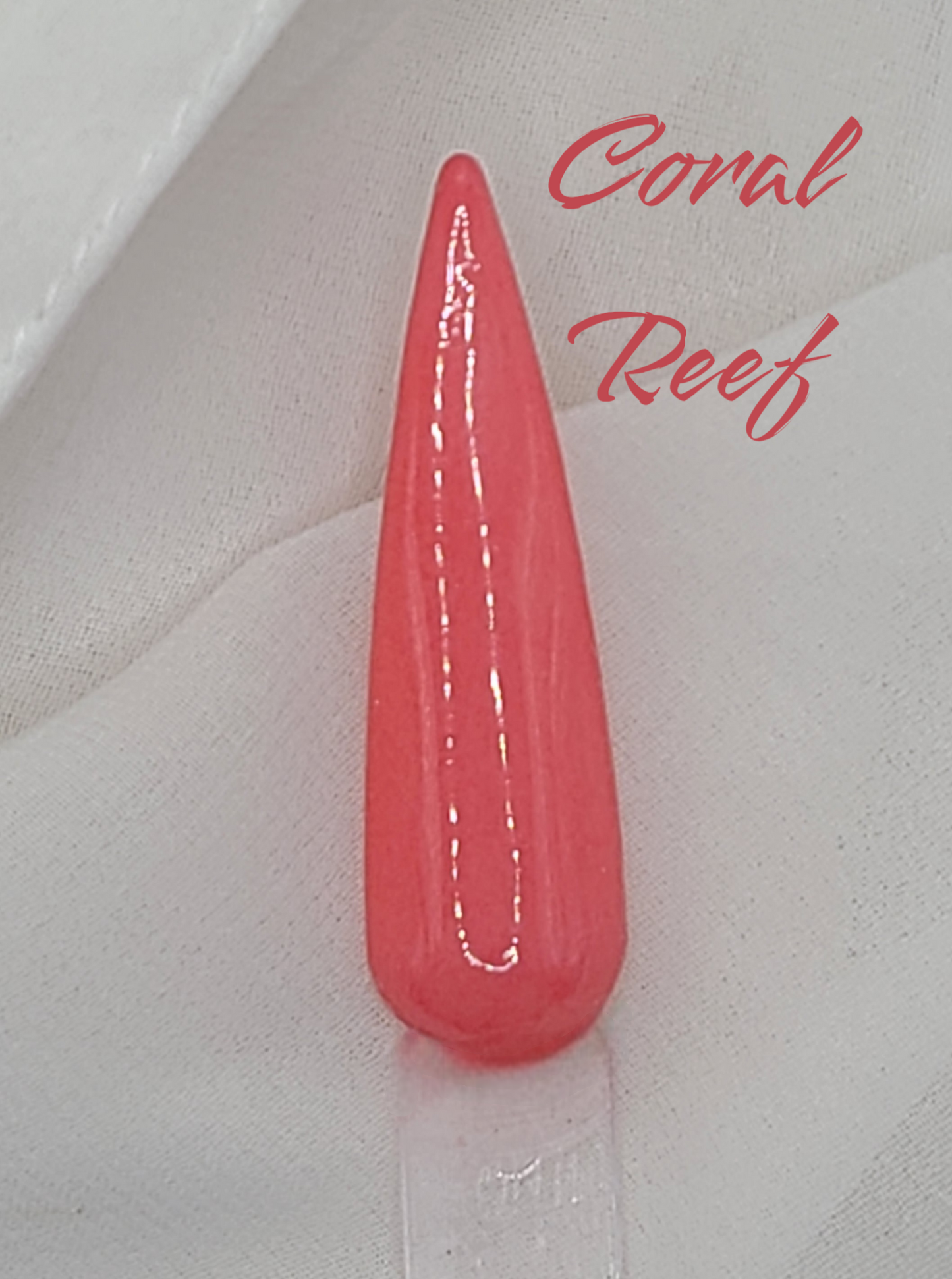 Coral Reef