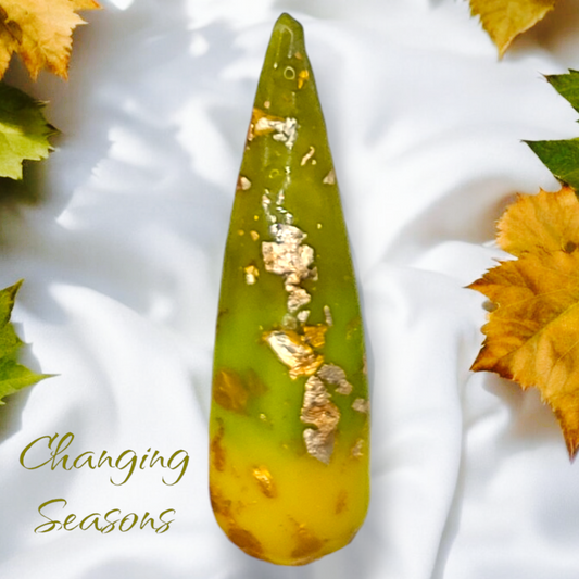 Changing Seasons