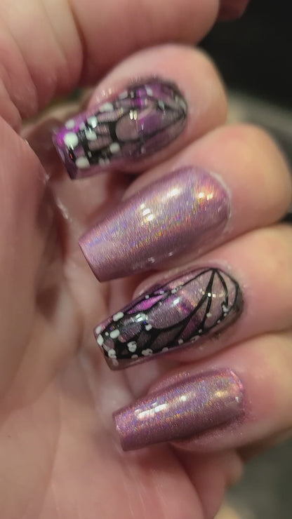 Holo Spring Collection