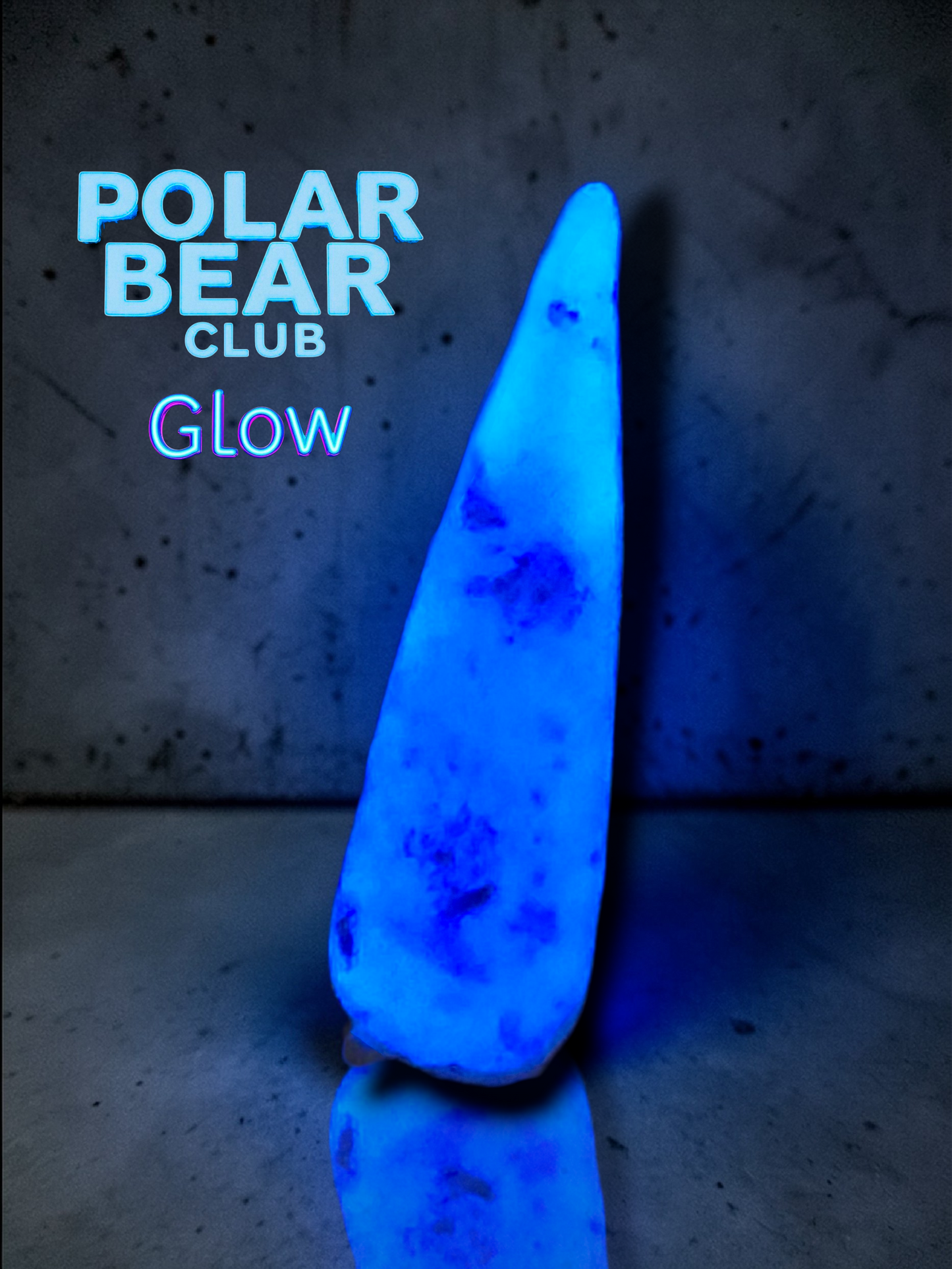 Polar Bear Club