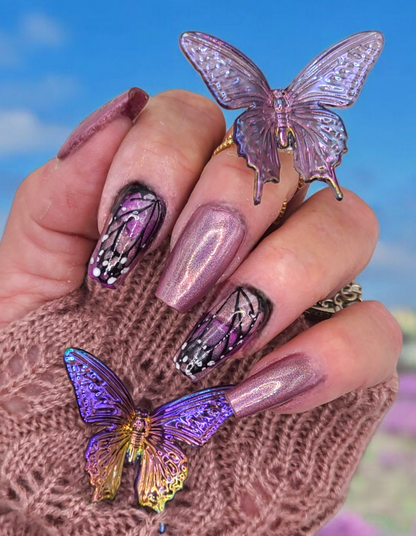 Holo Spring Collection
