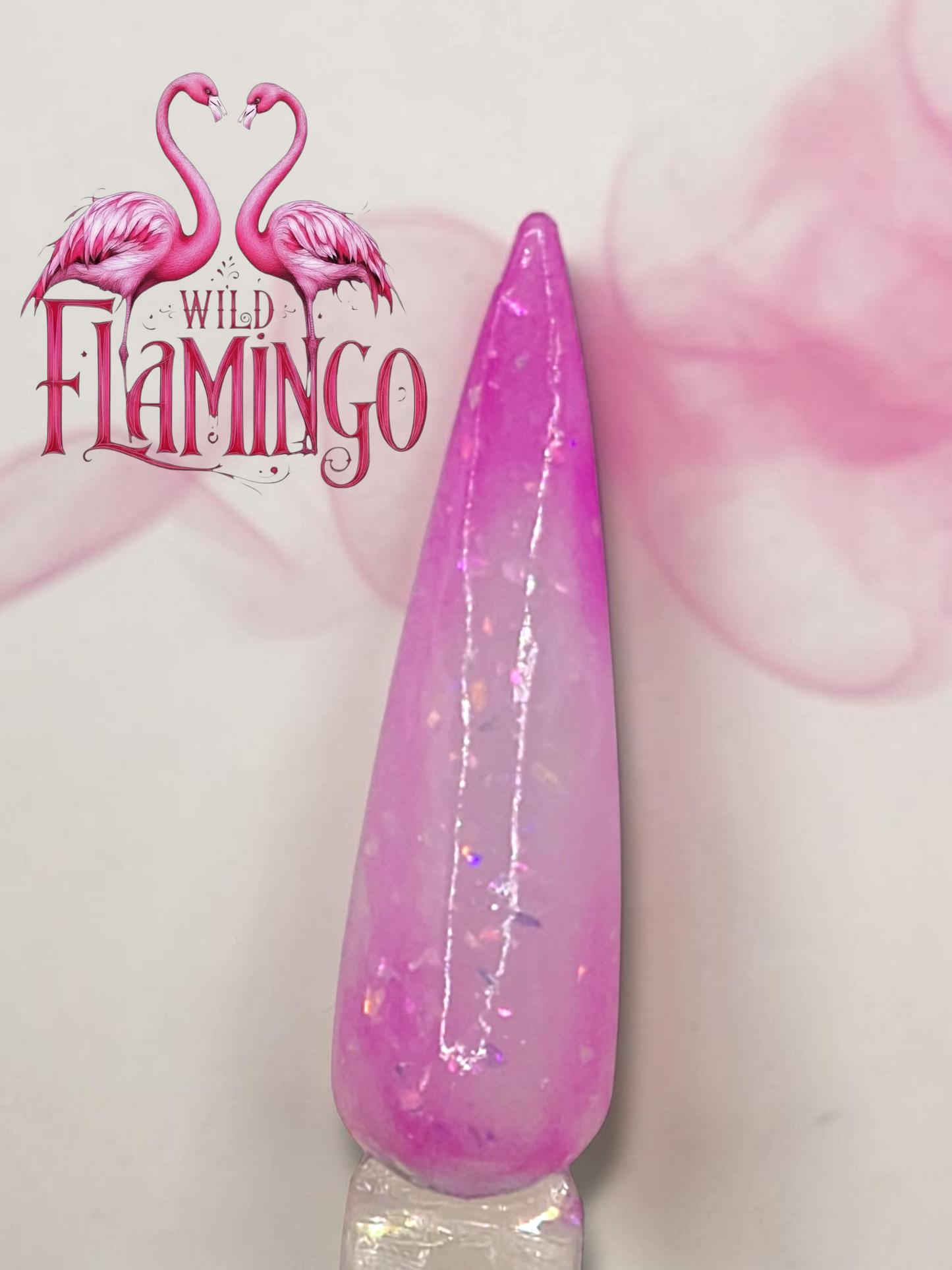 Wild Flamingo