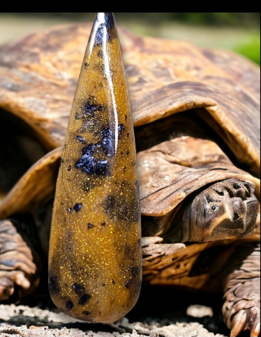 Tortoise Trot
