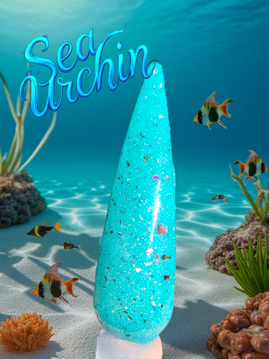 Under The Sea Anniversary Collection
