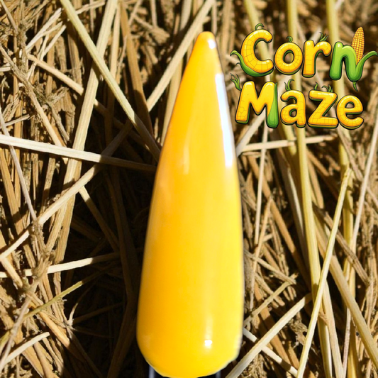 Corn Maze