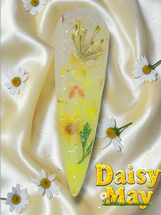 Daisy May
