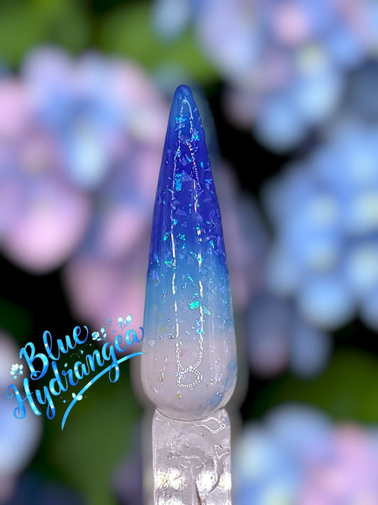 Blue Hydrangea