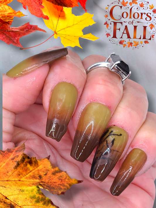 Colors of Fall